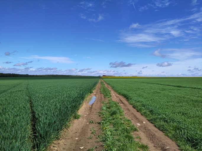 Tips voor adviseurs in de agrarische praktijk