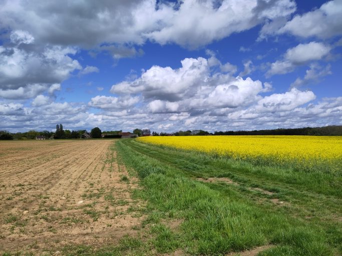 Rechtspraak voor de accountant in de agrarische praktijk